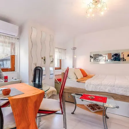 Studio-apartman Dejan 巴卡尔